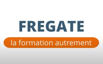 Frégate, la formation autrement - le travail d'équipe via l'équitation