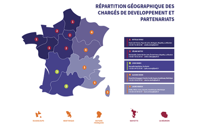 Développement et partenariats : vos interlocuteurs en région