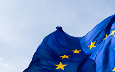 Lorem ipsum dolor sit amet, consectetur adipiscing elit. Pellentesque sed lectus quam. Pellentesque lorem odio, imperdiet nec massa a, tristique faucibus sem. Vivamus finibus erat vestibulum quam aliquet gravida.